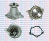 AQUAPLUS 85-5795 Water Pump